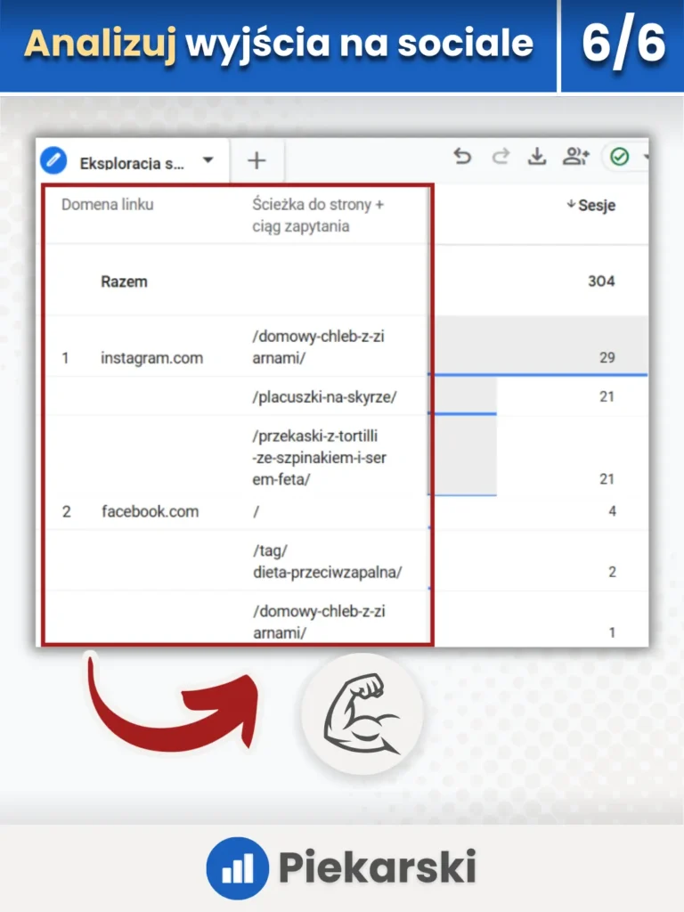 Zrzut ekranu przedstawiający raport dotyczący wyjść na kanały social media na danych podstronach